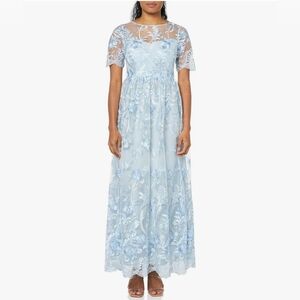 Adrianna Papell Women's Embroidered Long Gown Formal Evening Dress